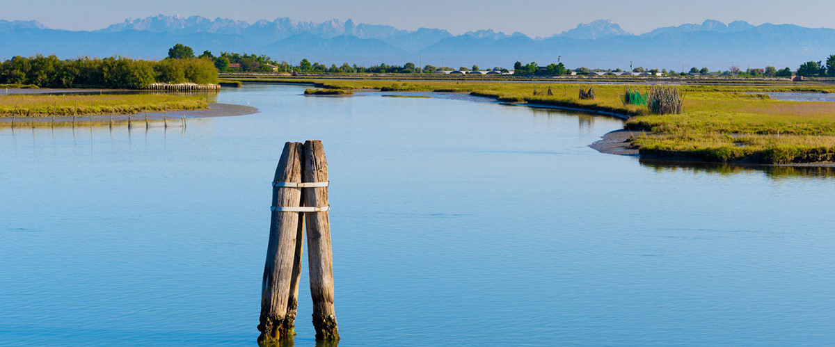 Am Meer, sehr nahe an Venedig