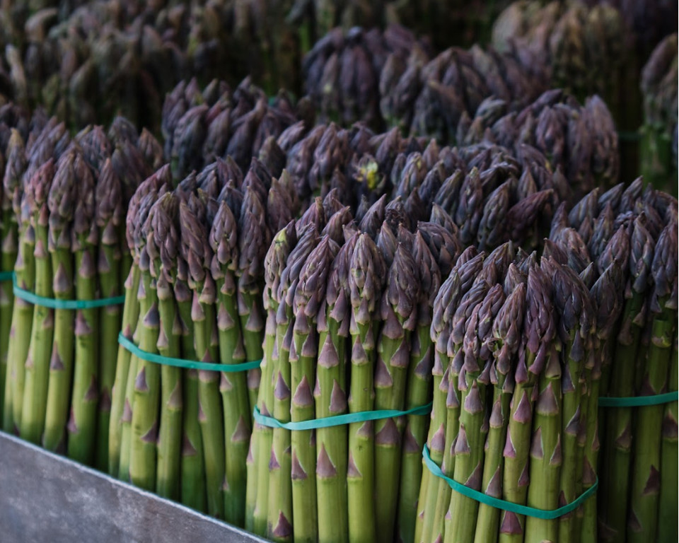 asparagi.jpg