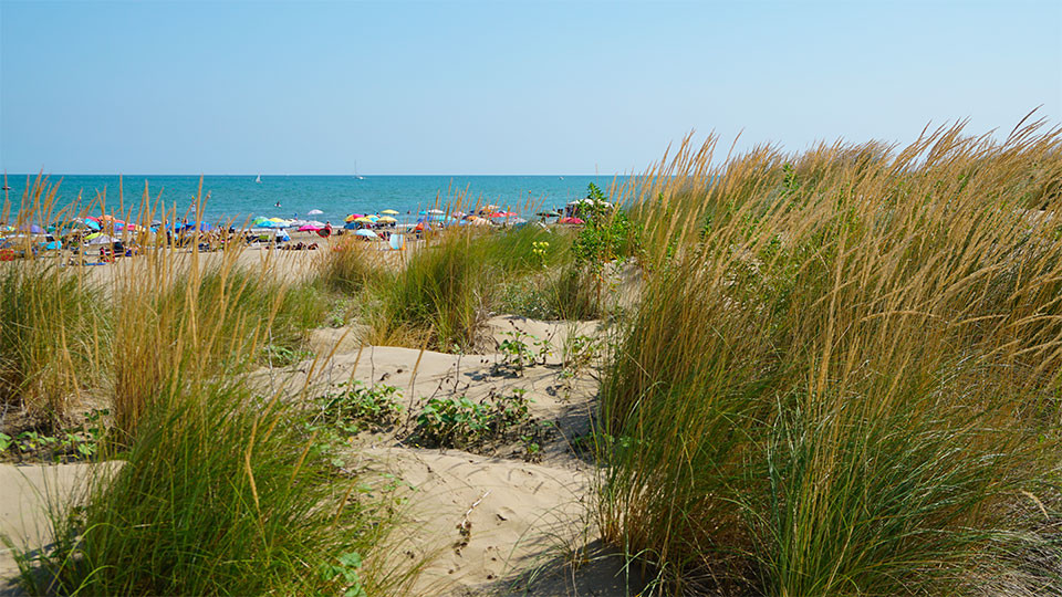 Natura incontaminata 