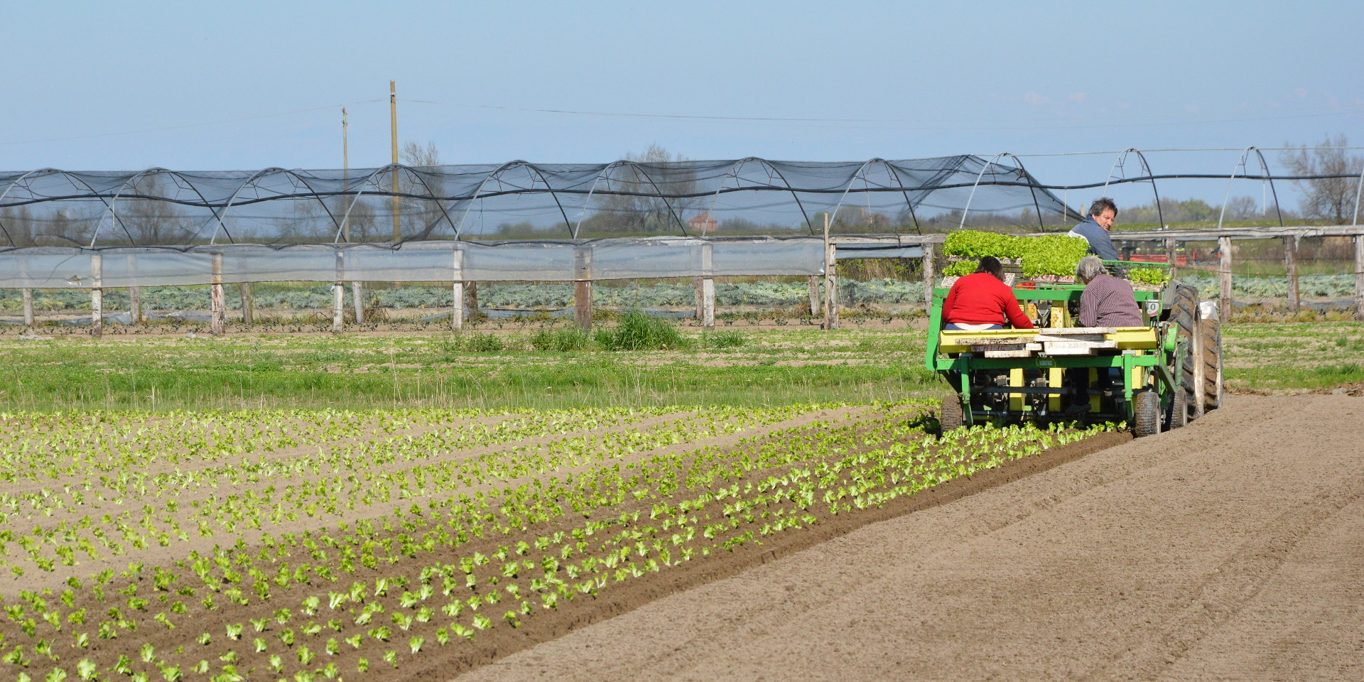 Le specialità gastronomiche di Cavallino Treporti