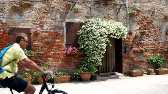 Four bike tours in Cavallino Treporti to discover the most evocative corners of the Venice Lagoon