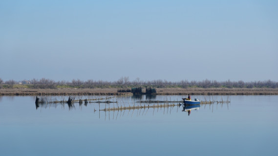 The charm of the Venice Lagoon, a corner of paradise populated by pink flamingos