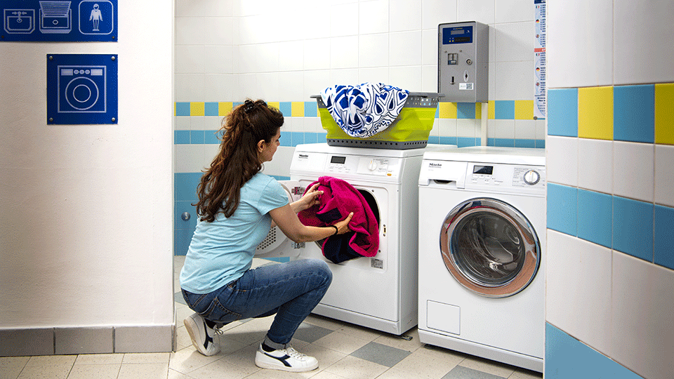 Professional laundry