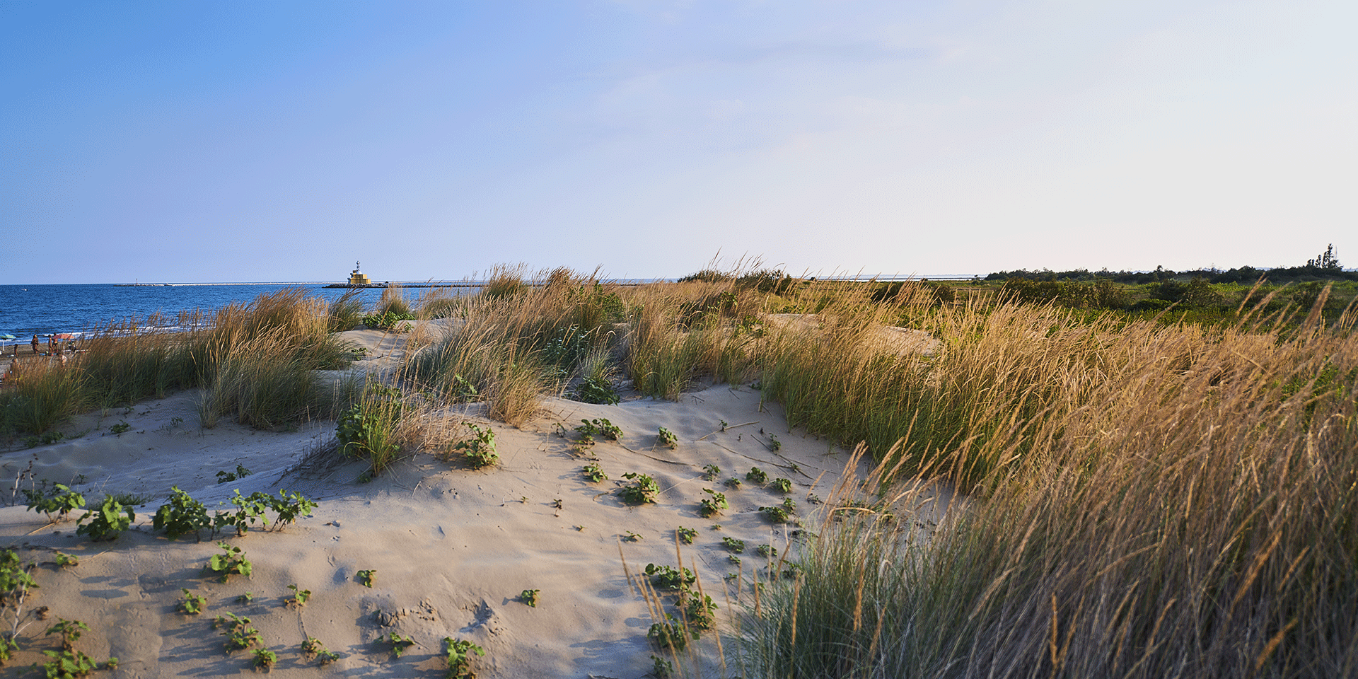 il Giallo  il Giallo