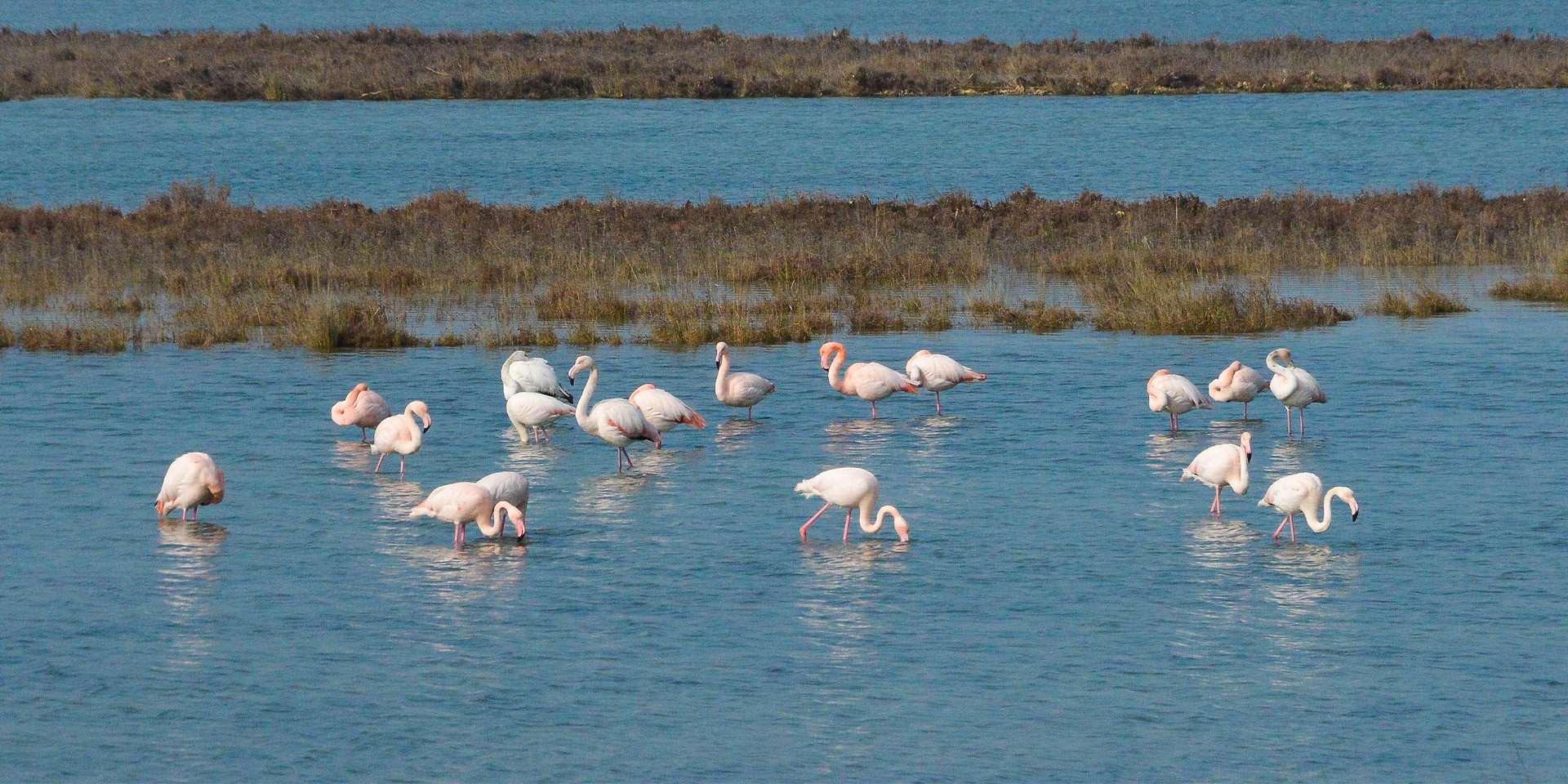 Camping Cavallino Treporti - Fahrradausflüge in die Umgebung