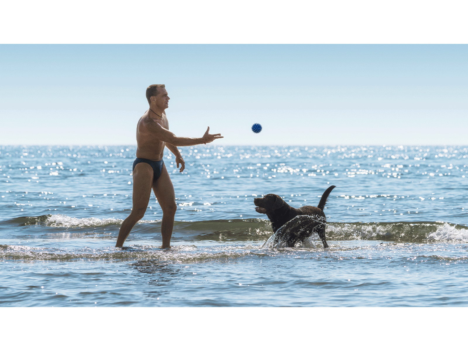 New beach resort in the dog area