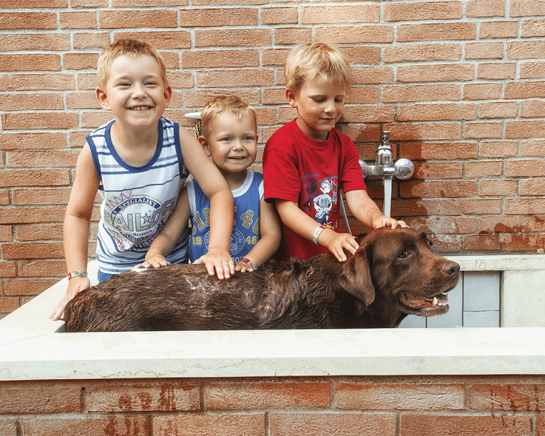 Urlaub mit Ihrem Hund in Cavallino Treporti