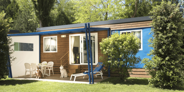 Vacanze con il cane a Cavallino Treporti