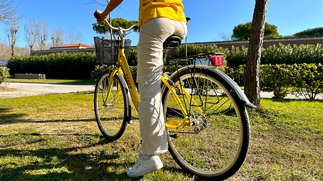 Field Check Controller