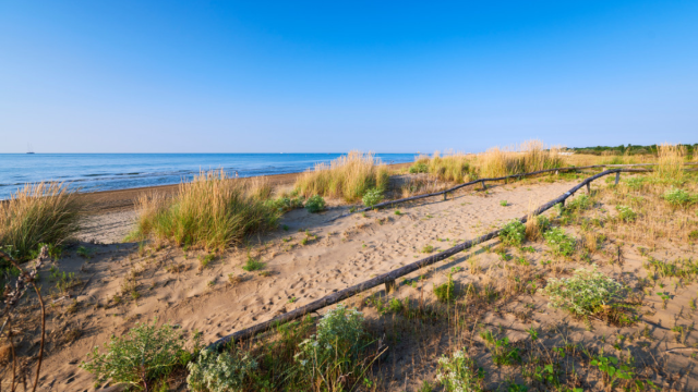 Exclusive and free tours for Marina di Venezia guests