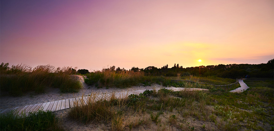 Vivi la natura, scopri il territorio,<br>think green