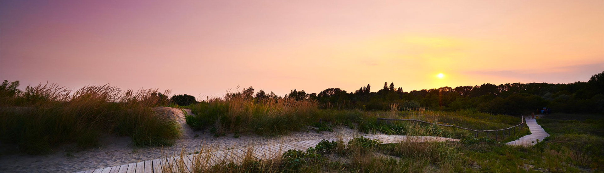 Vivi la natura, scopri il territorio e gli eventi <br>di Cavallino-Treporti